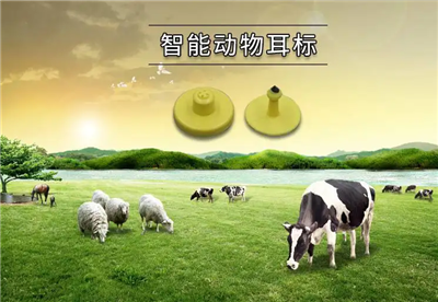 RFID畜牧管理提供了科學的管理模式